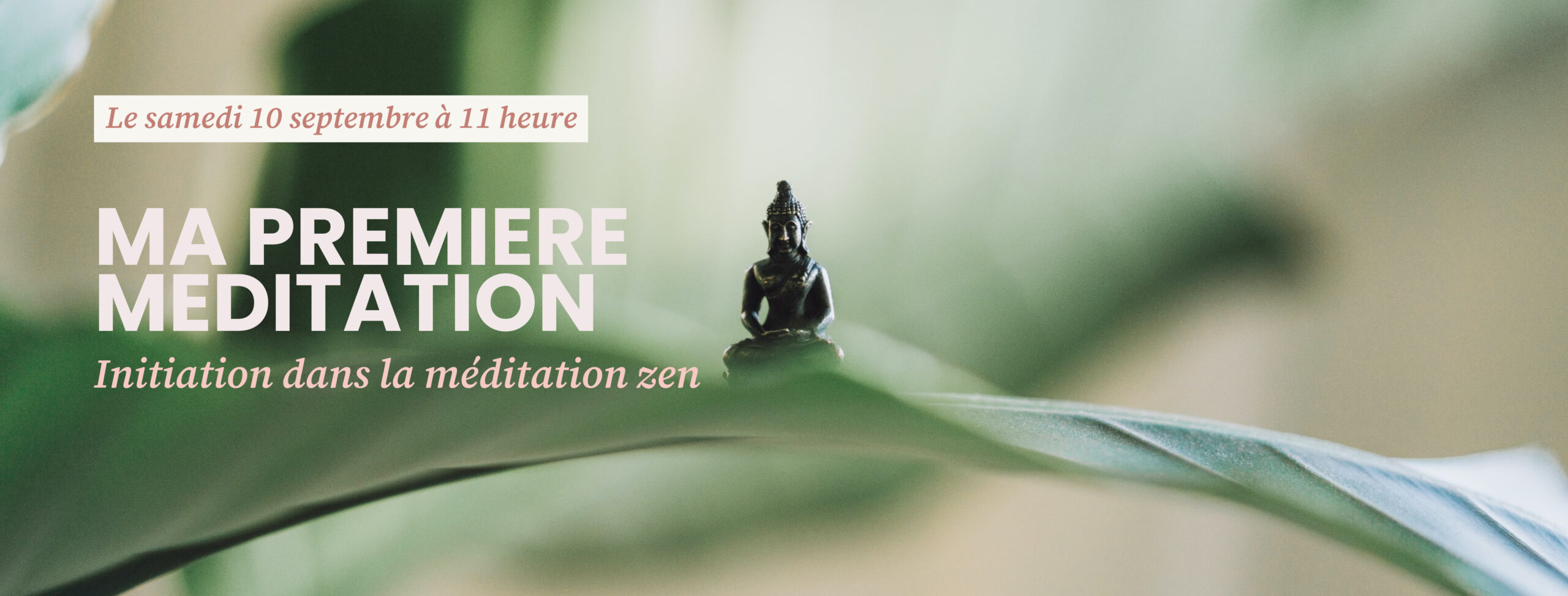 initiation dans le meditation zen